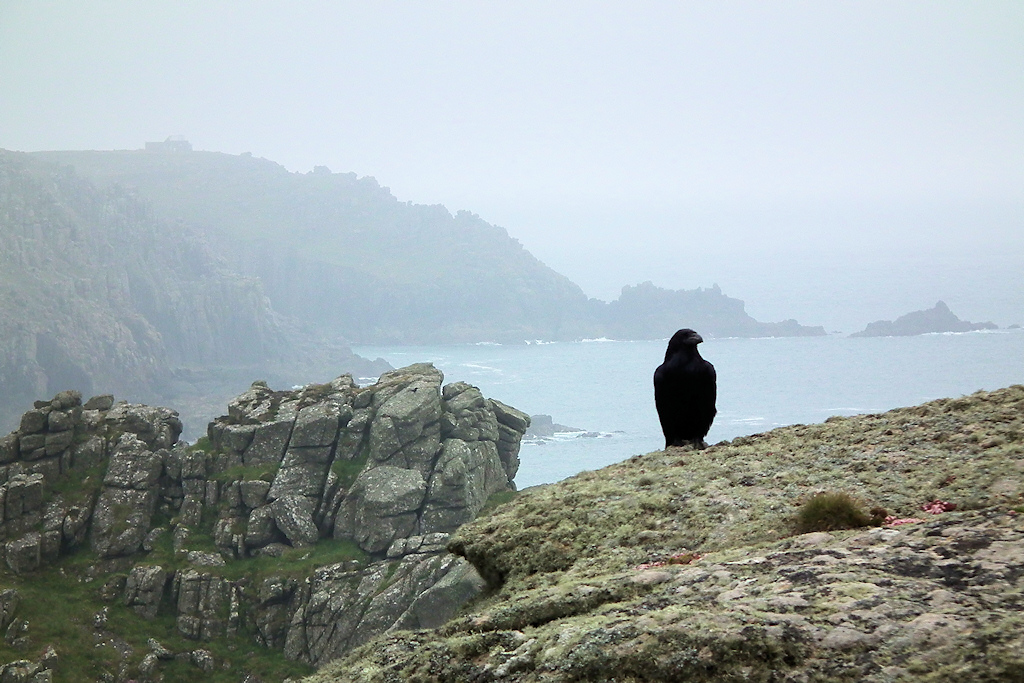 landsend-29112