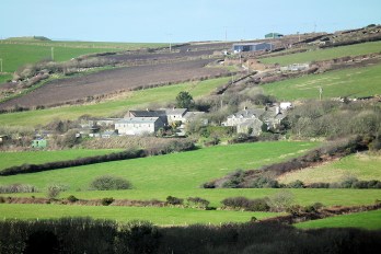 botrea-grumbla-35860