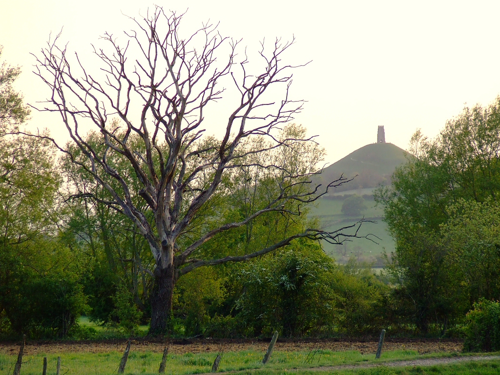 Glastonbury Tor